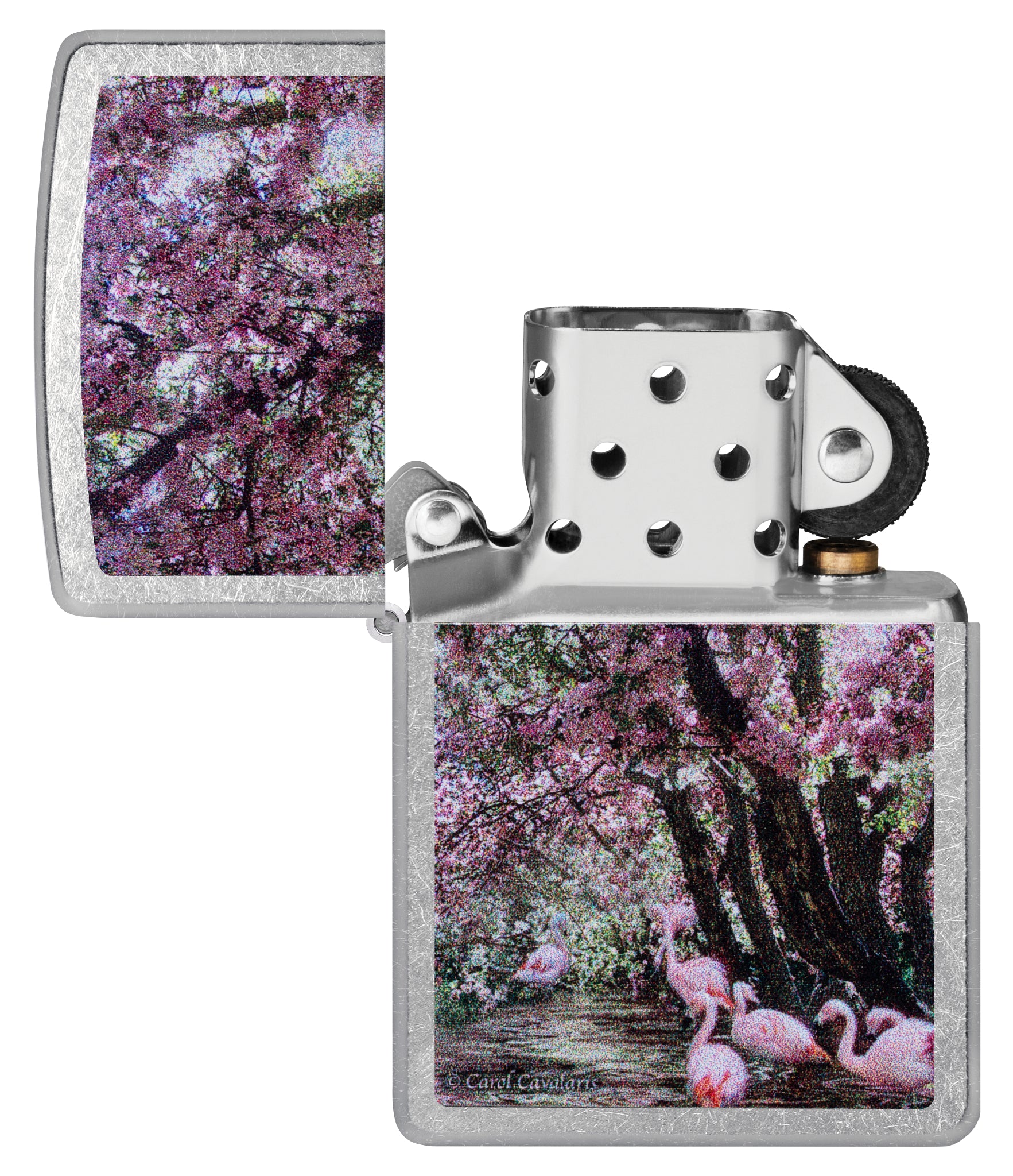 Carol Cavalaris Flamingo Lagoon Design