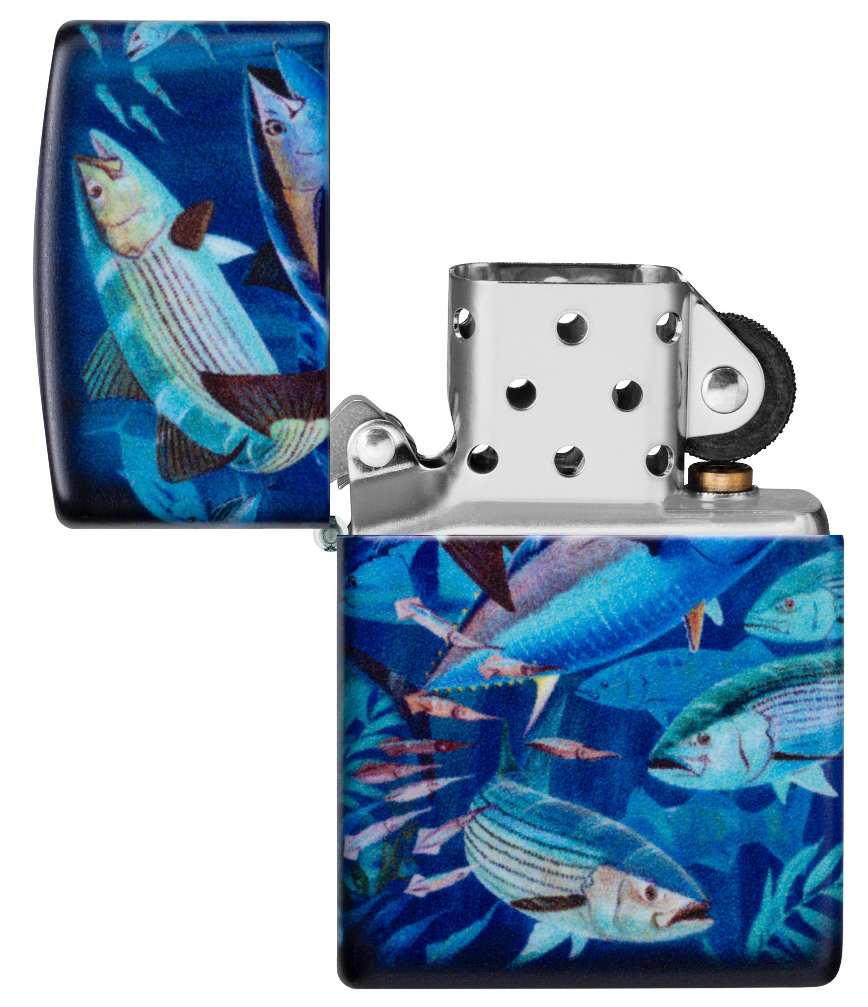Guy Harvey Fish School Design