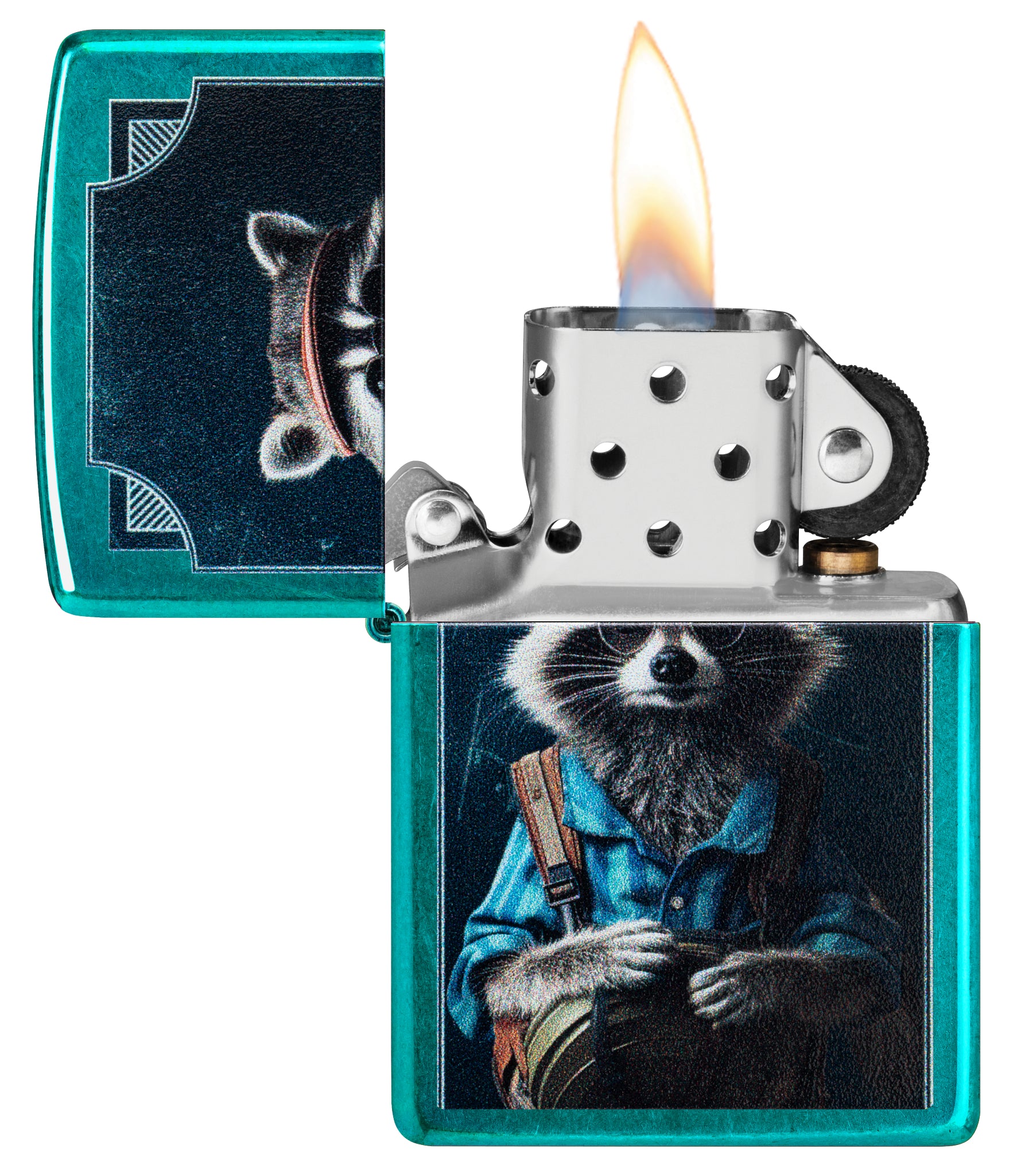 Refined Raccoon Design