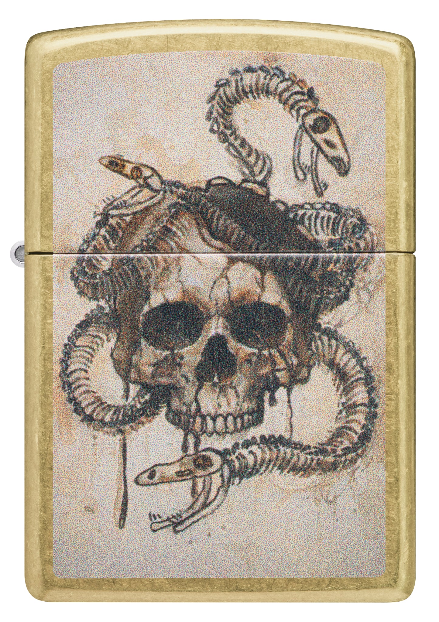 Skull and Snake Bones Design