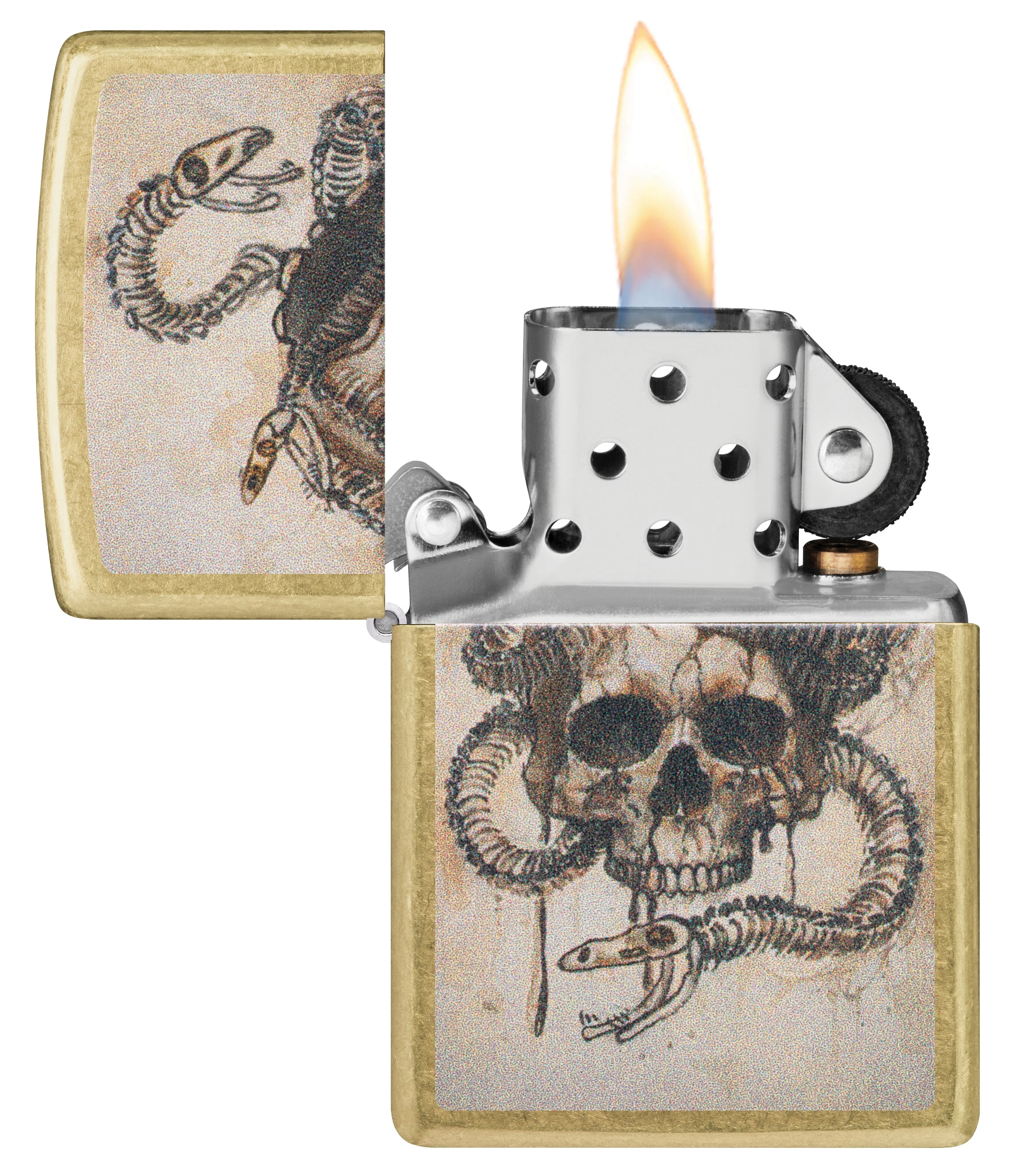 Skull and Snake Bones Design