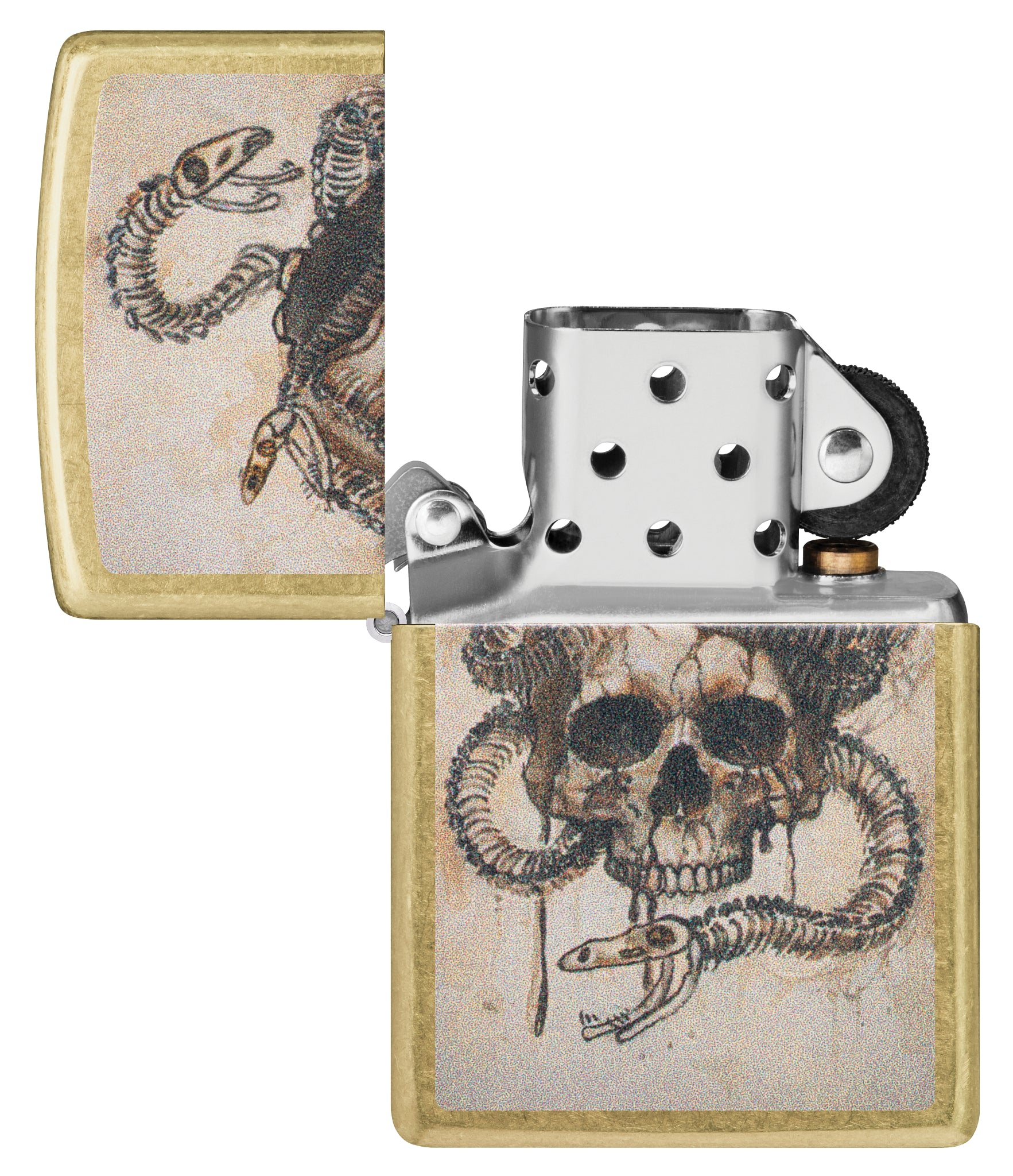 Skull and Snake Bones Design
